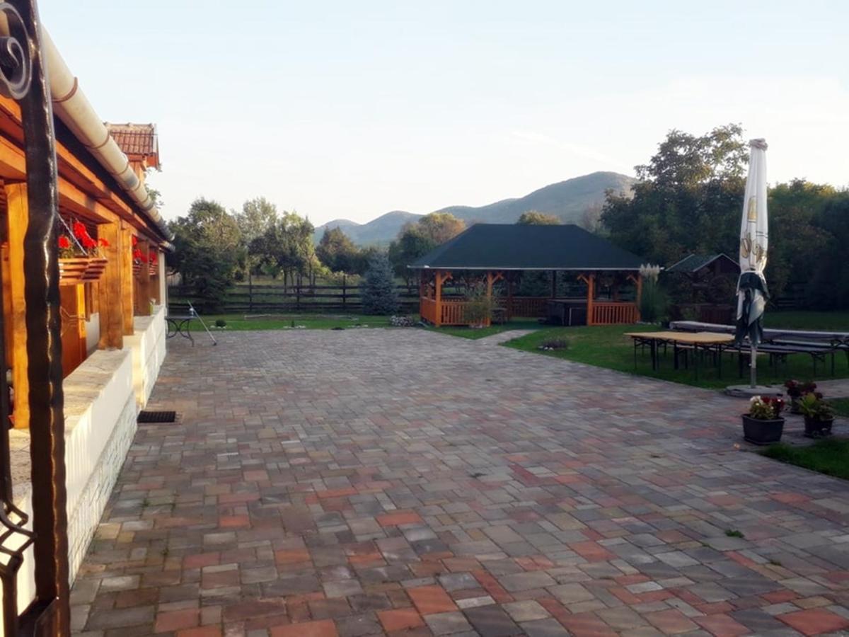 Apartmán Hegyalja Vendeghaz Tolcsva Exteriér fotografie